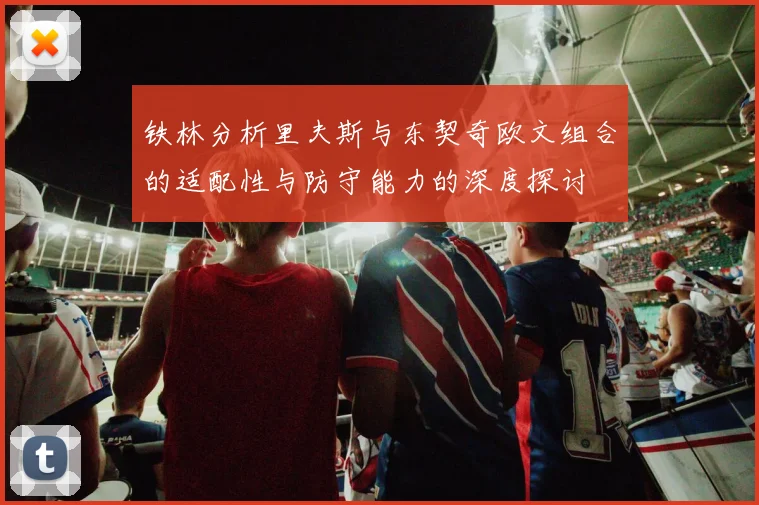 铁林分析里夫斯与东契奇欧文组合的适配性与防守能力的深度探讨